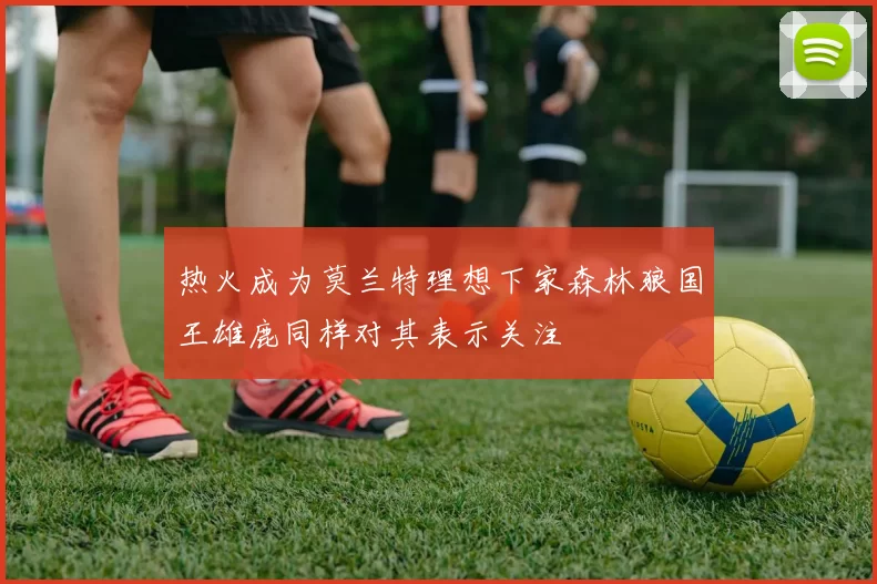 热火成为莫兰特理想下家森林狼国王雄鹿同样对其表示关注