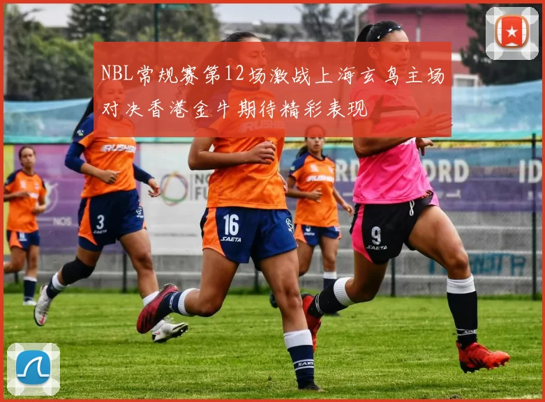 NBL常规赛第12场激战上海玄鸟主场对决香港金牛期待精彩表现
