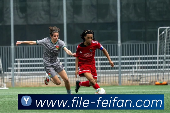 非凡娱乐APP 高清赛事图